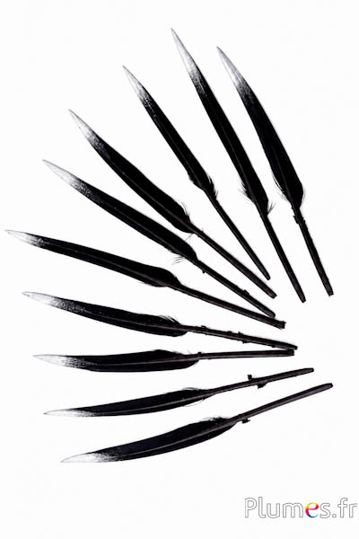 Gans - 5-8 cm - zwart-zilverkleurig